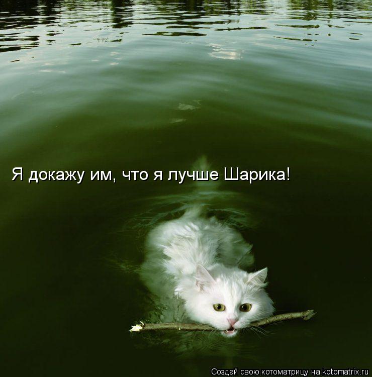 Я докажу им, что я лучше Шарика!... Котоматрица: Я докажу им, что я лучше Шарика!