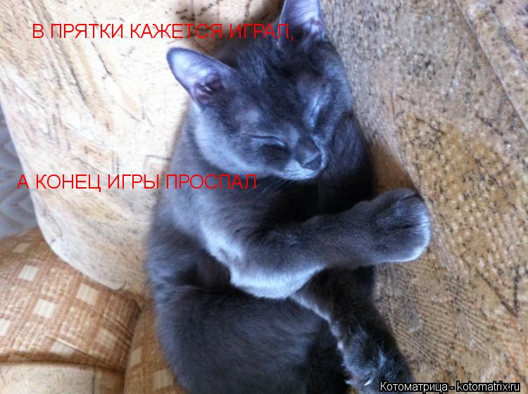 В ПРЯТКИ КАЖЕТСЯ ИГРАЛ , А КОНЕЦ ИГРЫ ПРОСПАЛ... Котоматрица: В ПРЯТКИ КАЖЕТСЯ ИГРАЛ , А КОНЕЦ ИГРЫ ПРОСПАЛ