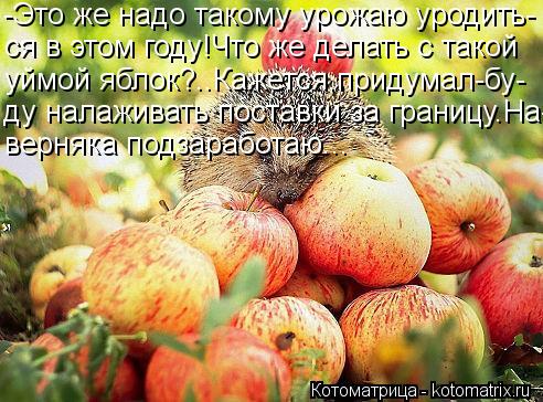 -Это же надо такому урожаю уродить- ся в этом году!Что же делать с такой уймой яблок?..Кажется,придум... Котоматрица: -Это же надо такому урожаю уродить- ся в этом году!Что же делать с такой уймой яблок?..Кажется,придумал-бу- ду налаживать поставки за границу.