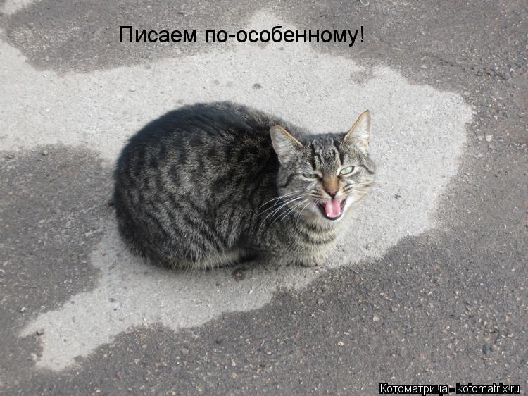 Писаем по-особенному!... Котоматрица: Писаем по-особенному!
