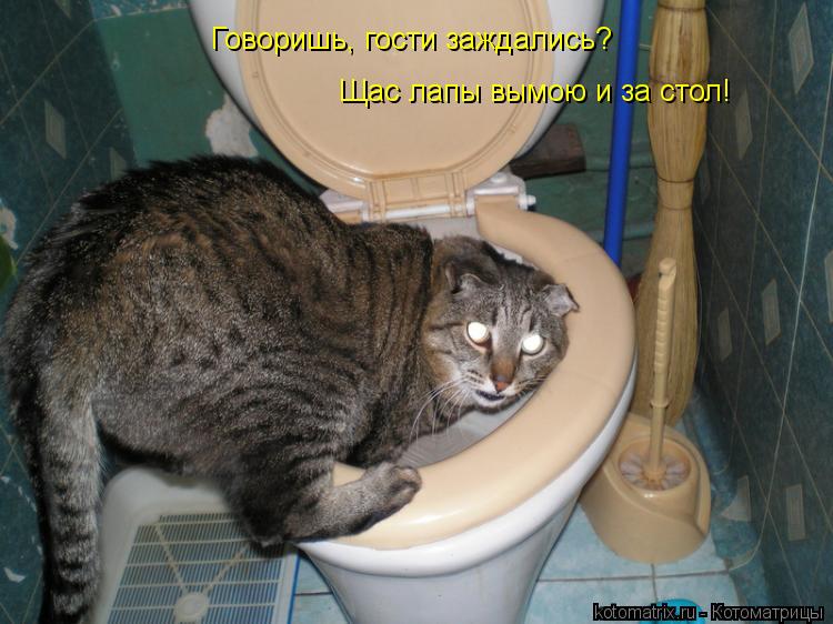 Говоришь, гости заждались? Щас лапы вымою и за стол!... Котоматрица: Говоришь, гости заждались? Щас лапы вымою и за стол!
