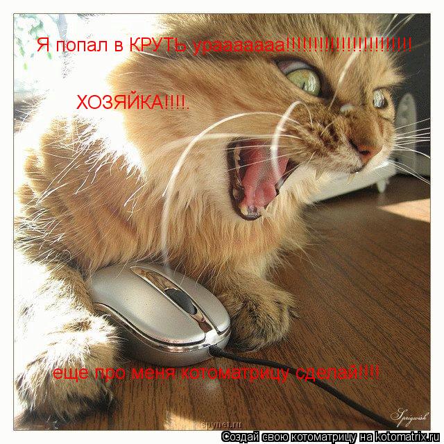 Я попал в КРУТЬ урааааааа!!!!!!!!!!!!!!!!!!!!!!! ХОЗЯЙКА!!!!. еще про меня котоматрицу сделай!!!!... Котоматрица: Я попал в КРУТЬ урааааааа!!!!!!!!!!!!!!!!!!!!!!! ХОЗЯЙКА!!!!. еще про меня котоматрицу сделай!!!!