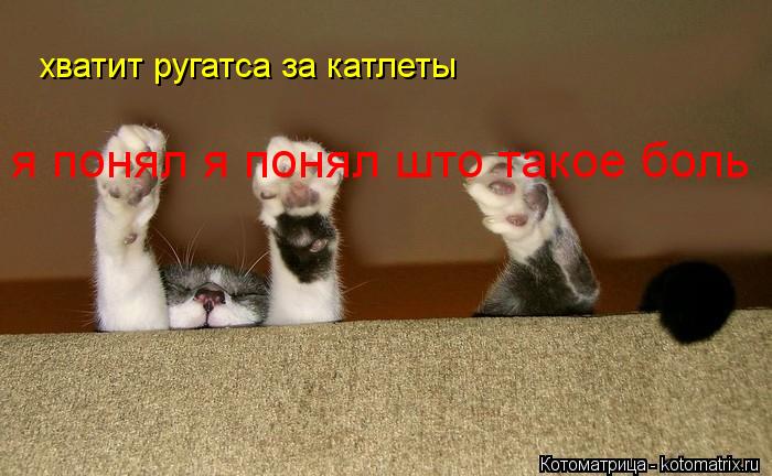 я понял я понял што такое боль хватит ругатса за катлеты... Котоматрица: я понял я понял што такое боль хватит ругатса за катлеты