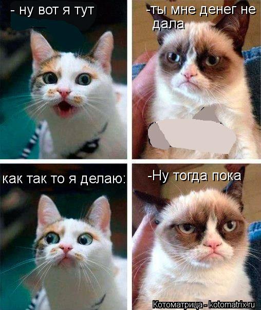 - ну вот я тут -ты мне денег не дала как так то я делаю: -Ну тогда пока... Котоматрица: - ну вот я тут -ты мне денег не дала как так то я делаю: -Ну тогда пока