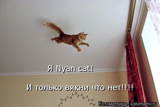 Я Nyan cat! И только вякни что нет!!!!... Котоматрица: Я Nyan cat! И только вякни что нет!!!!