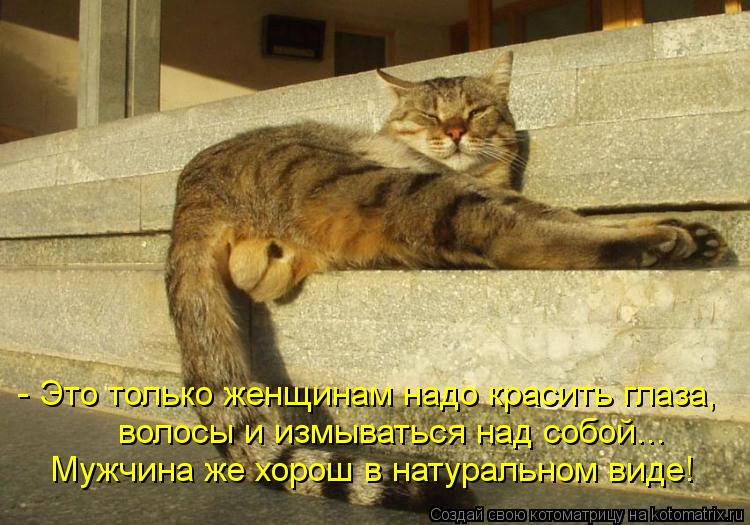 - Это только женщинам надо красить глаза, волосы и измываться над собой... Мужчина же хорош в натурал... Котоматрица: - Это только женщинам надо красить глаза, волосы и измываться над собой... Мужчина же хорош в натуральном виде!