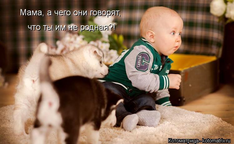 Мама, а чего они говорят, что ты им не родная?!... Котоматрица: Мама, а чего они говорят, что ты им не родная?!