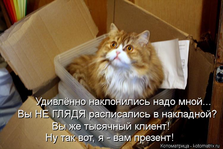 Котоматрица: Удивлённо наклонились надо мной...  Вы НЕ ГЛЯДЯ расписались в накладной?  Вы же тысячный клиент!  Ну так вот, я - вам презент!