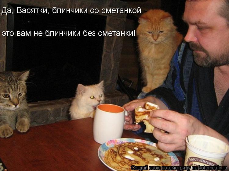 Да, Васятки, блинчики со сметанкой - это вам не блинчики без сметанки!... Котоматрица: Да, Васятки, блинчики со сметанкой - это вам не блинчики без сметанки!