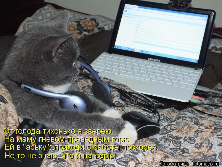 Котоматрица: От голода тихонько я зверею, На маму гневом праведным горю. Не то не знаю, что я натворю! Ей в "аську": приходи с работы поскорее,