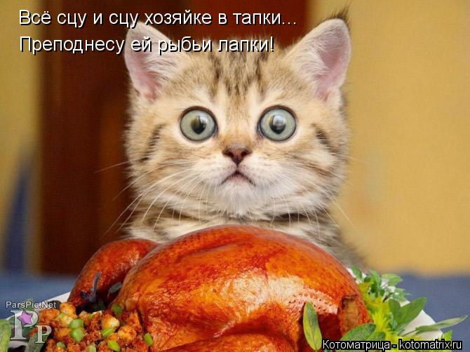 Всё сцу и сцу хозяйке в тапки... Преподнесу ей рыбьи лапки!... Котоматрица: Всё сцу и сцу хозяйке в тапки... Преподнесу ей рыбьи лапки!
