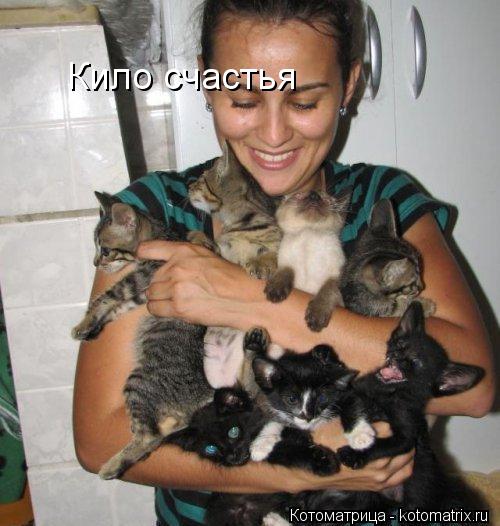 Кило счастья... Котоматрица: Кило счастья