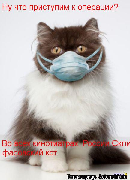 Ну что приступим к операции? Во всех кинотиатрах России Скли фасовский кот... Котоматрица: Ну что приступим к операции? Во всех кинотиатрах России Скли фасовский кот