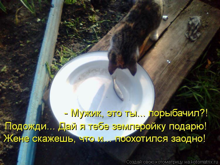 Котоматрица: - Мужик, это ты... порыбачил?! Жене скажешь, что и... поохотился заодно! Подожди... Дай я тебе землеройку подарю!