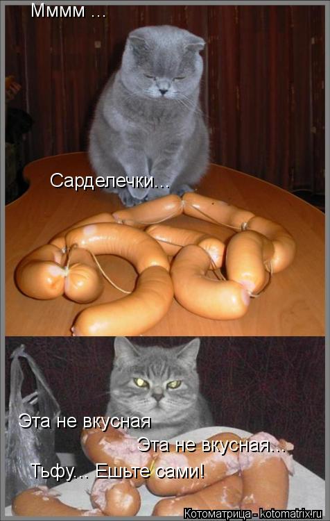 Котоматрица: Мммм ... Сарделечки... Эта не вкусная Эта не вкусная... Тьфу... Ешьте сами!