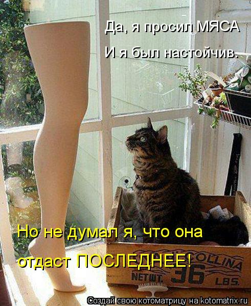 Да, я просил МЯСА И я был настойчив. Но не думал я, что она отдаст ПОСЛЕДНЕЕ!... Котоматрица: Да, я просил МЯСА И я был настойчив. Но не думал я, что она отдаст ПОСЛЕДНЕЕ!
