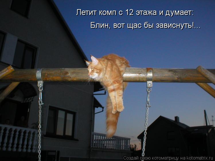Котоматрица: Летит комп с 12 этажа и думает: Блин, вот щас бы зависнуть!...