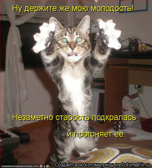 Ну держите же мою молодость! Незаметно старость подкралась и прогоняет ее.... Котоматрица: Ну держите же мою молодость! Незаметно старость подкралась и прогоняет ее.