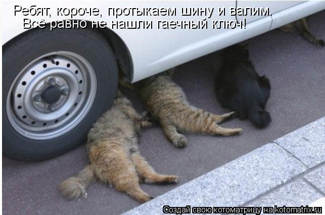 Ребят, короче, протыкаем шину и валим. Всё равно не нашли гаечный ключ!... Котоматрица: Ребят, короче, протыкаем шину и валим. Всё равно не нашли гаечный ключ!