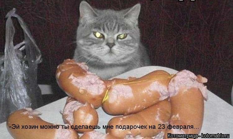 Котоматрица: -Эй хозин можно ты сделаешь мне подарочек на 23 февраля...