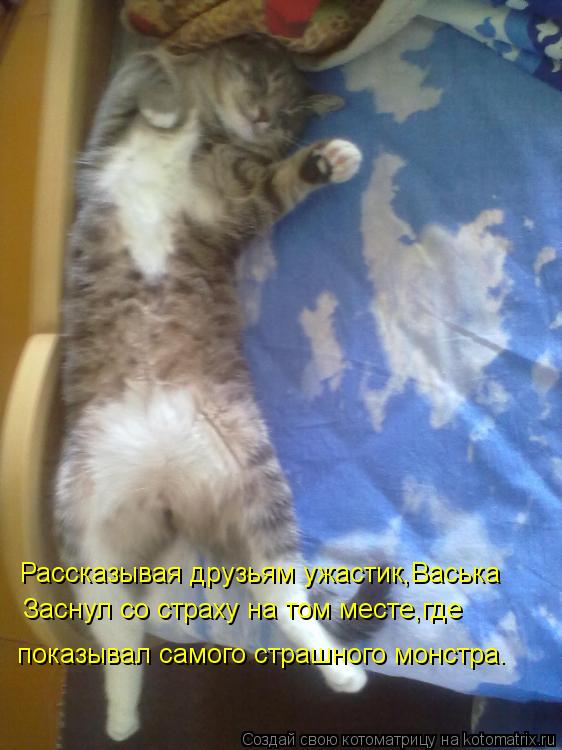 Рассказывая друзьям ужастик,Васька Заснул со страху на том месте,где показывал самого страшного монс... Котоматрица: Рассказывая друзьям ужастик,Васька Заснул со страху на том месте,где показывал самого страшного монстра.