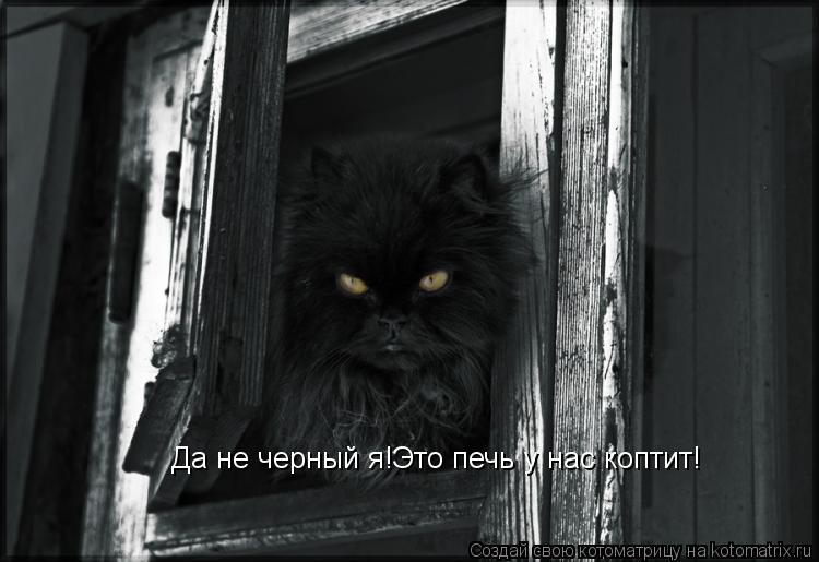 Да не черный я!Это печь у нас коптит!... Котоматрица: Да не черный я!Это печь у нас коптит!