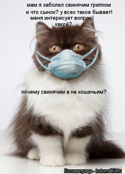 Котоматрица: мам я заболел свинячим гриппом и что сынок? у всех такое бывает! меня интерисует вопрос! какой? почему свинячим а не кошачьим?