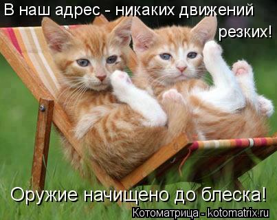 Оружие начищено до блеска! В наш адрес - никаких движений резких!... Котоматрица: Оружие начищено до блеска! В наш адрес - никаких движений резких!
