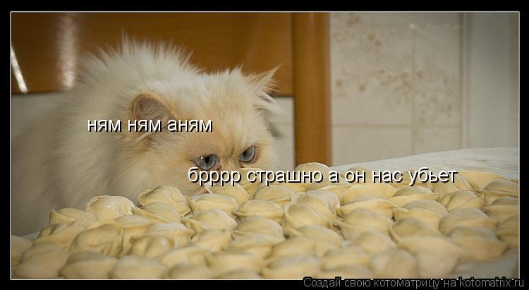 ням ням аням брррр страшно а он нас убьет... Котоматрица: ням ням аням брррр страшно а он нас убьет
