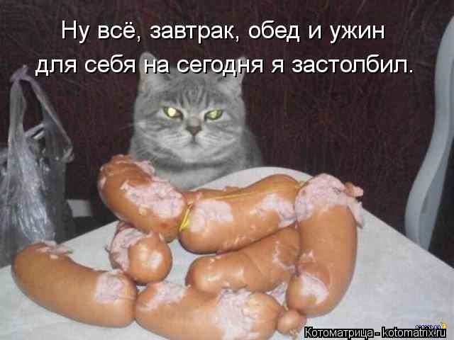 Котоматрица: Ну всё, завтрак, обед и ужин   для себя на сегодня я застолбил.