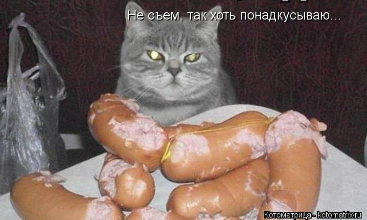 Котоматрица: Не съем, так хоть понадкусываю...
