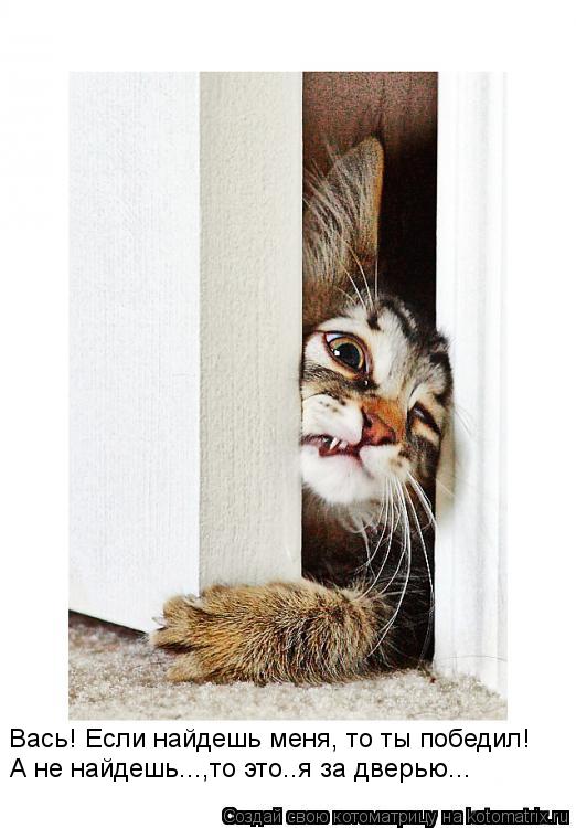 Котоматрица: Вась! Если найдешь меня, то ты победил! А не найдешь...,то это..я за дверью...