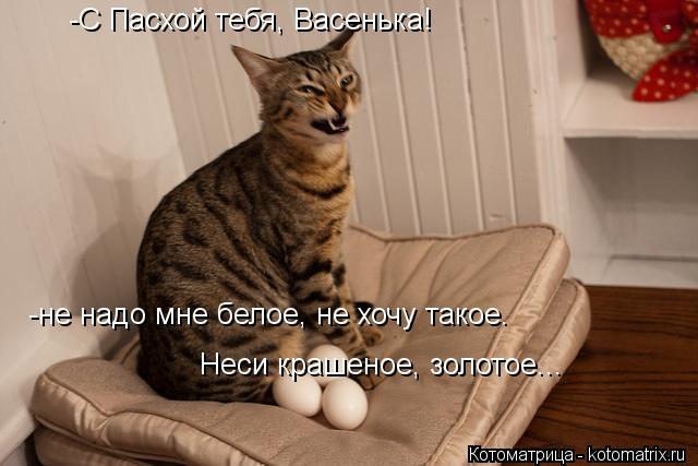 Котоматрица: -С Пасхой тебя, Васенька! -не надо мне белое, не хочу такое. Неси крашеное, золотое...