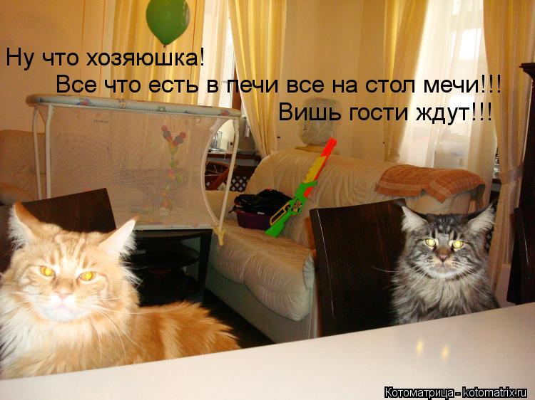 Котоматрица: Ну что хозяюшка!  Все что есть в печи все на стол мечи!!!  Вишь гости ждут!!!