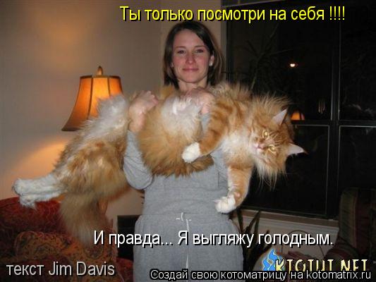 Котоматрица: Ты только посмотри на себя !!!! И правда... Я выгляжу голодным. текст Jim Davis