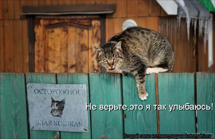 Котоматрица: Не верьте,это я так улыбаюсь!