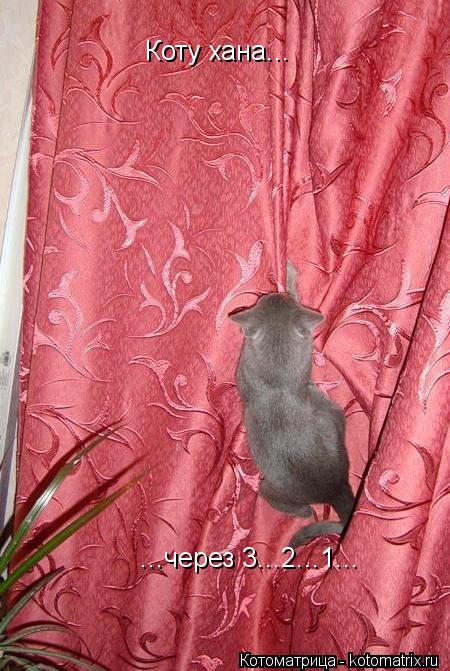 Котоматрица: Коту хана... ...через 3...2...1...