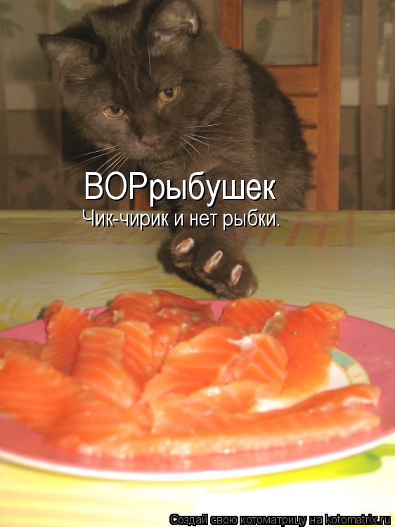 Котоматрица: ВОРрыбушек Чик-чирик и нет рыбки.