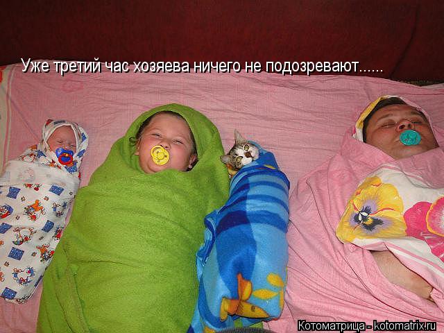 Котоматрица: Уже третий час хозяева ничего не подозревают......