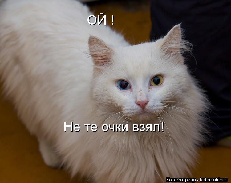 Котоматрица: ОЙ !  Не те очки взял!