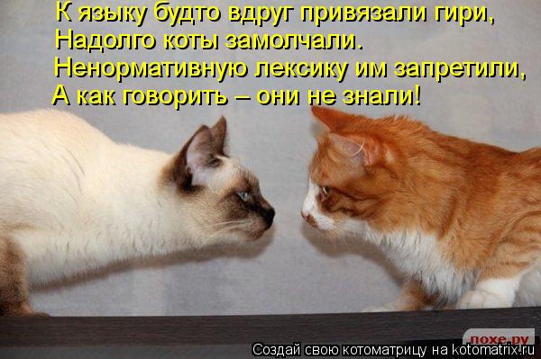 Котоматрица: К языку будто вдруг привязали гири, Надолго коты замолчали. Ненормативную лексику им запретили, А как говорить – они не знали!