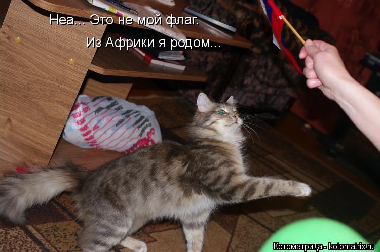 Неа... Это не мой флаг. Из Африки я родом...... Котоматрица: Неа... Это не мой флаг. Из Африки я родом...
