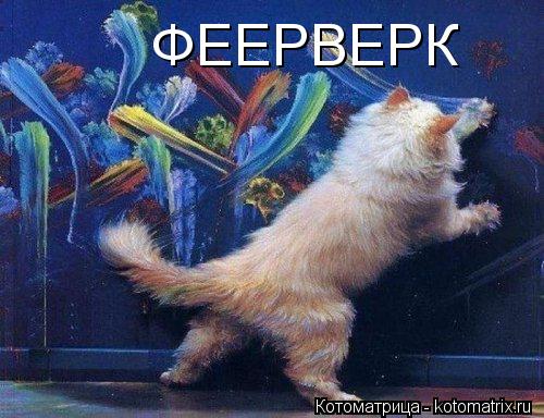 Котоматрица: ФЕЕРВЕРК