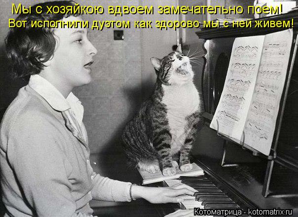 Котоматрица: Мы с хозяйкою вдвоем замечательно поем! Вот исполнили дуэтом как здорово мы с ней живем!