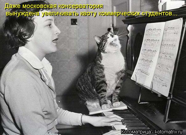 Котоматрица: вынуждена увеличивать квоту коммерческих студентов... Даже московская консерватория