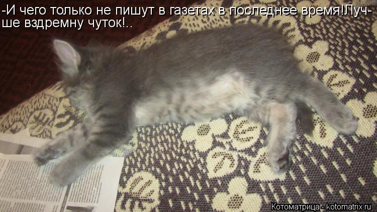 Котоматрица: -И чего только не пишут в газетах в последнее время!Луч- ше вздремну чуток!..