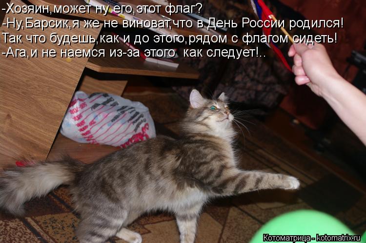 Котоматрица: -Хозяин,может ну его,этот флаг? -Ну,Барсик,я же не виноват,что в День России родился! Так что будешь,как и до этого,рядом с флагом сидеть! -Ага,и