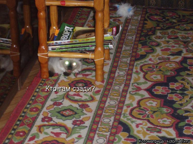 Котоматрица: Кто там сзади?