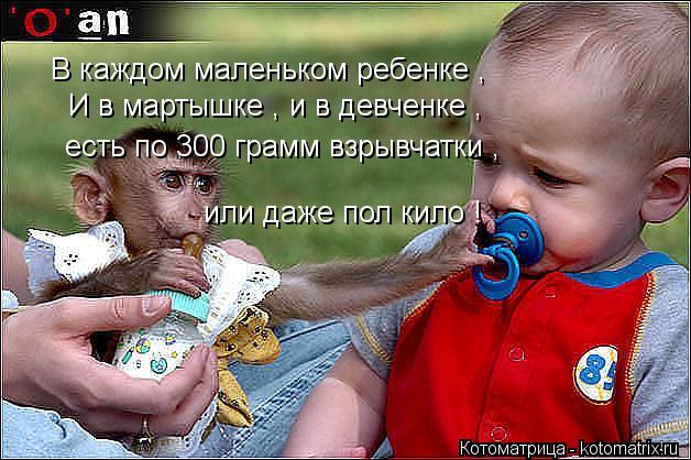 Котоматрица: В каждом маленьком ребенке , И в мартышке , и в девченке , есть по 300 грамм взрывчатки , или даже пол кило !