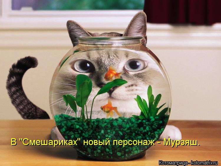 Котоматрица: В "Смешариках" новый персонаж - Мурзяш.